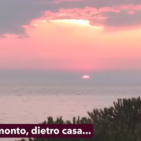 Stella Marina, A 450 Mt Dalla Costa Del Mar Di Sardegna